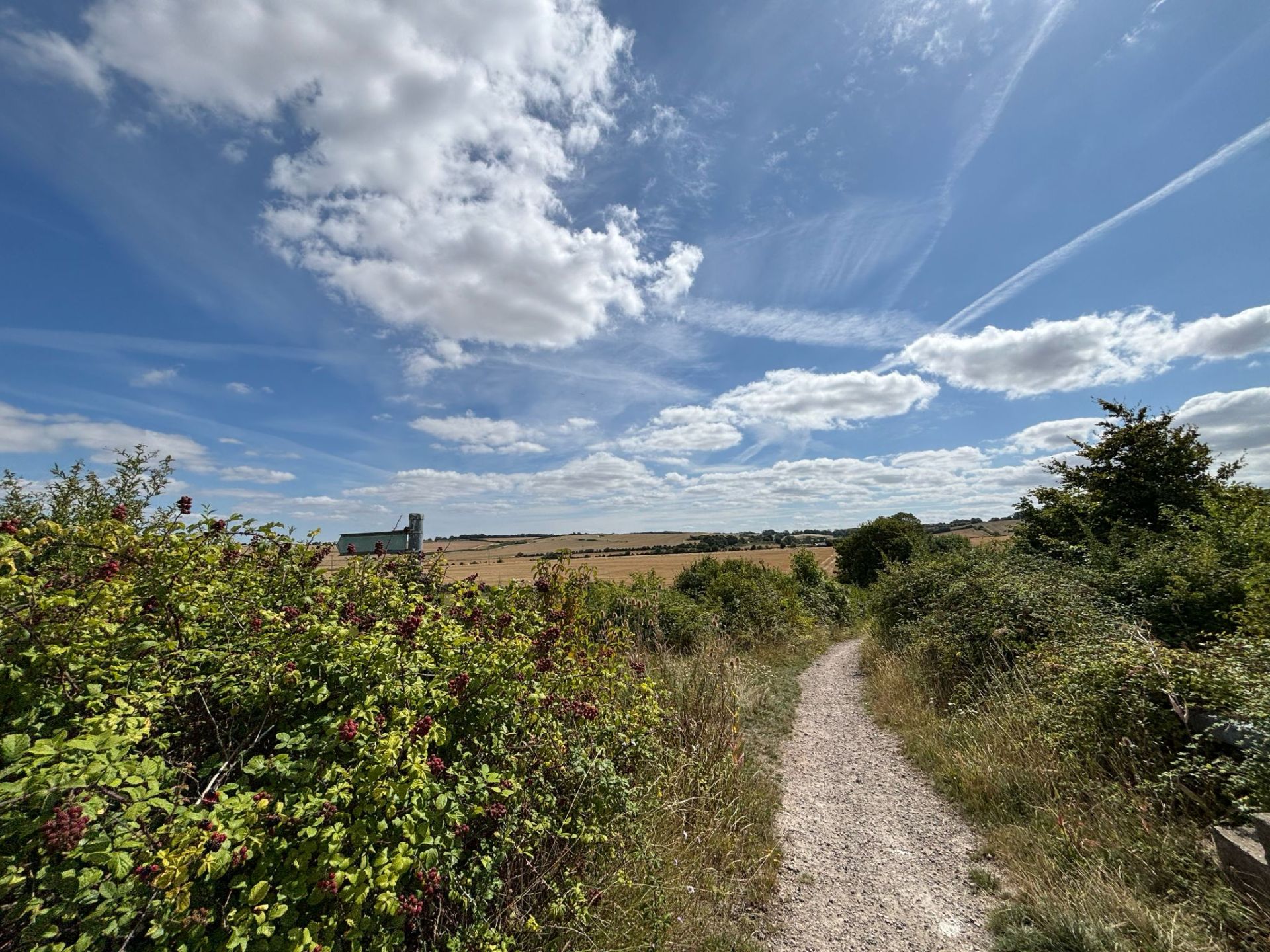 A path and fields
